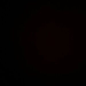 Shhh ut the up T-Shirt